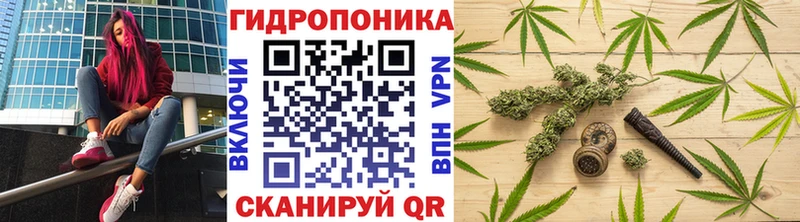 Конопля Bruce Banner  Нижнекамск 